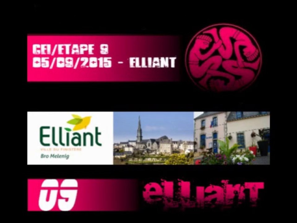 ELLIANT 2015