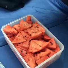 Kangin Comiendo Sandia! - Kangin eating watermelon