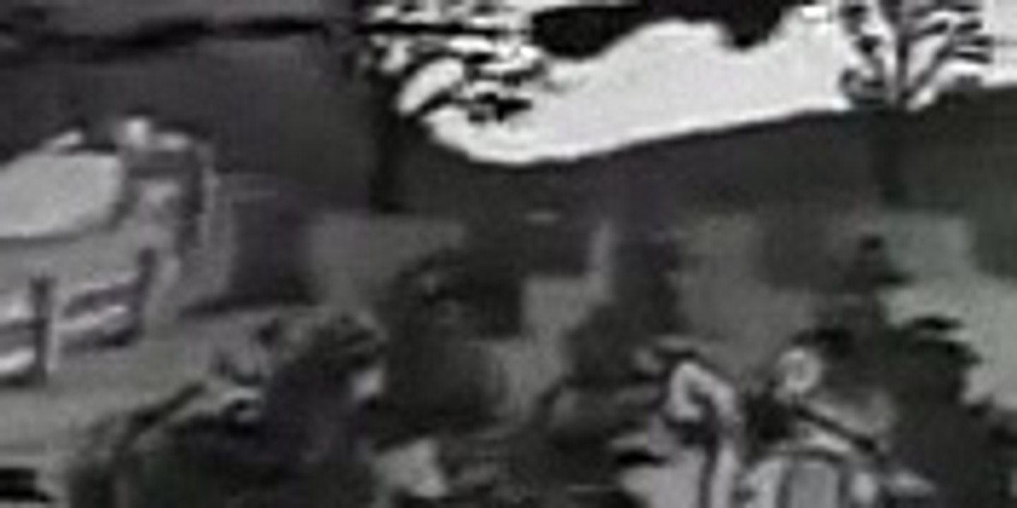 Betty Boop - Halloween Party (1933) Banned Cartoons [Full Episode]