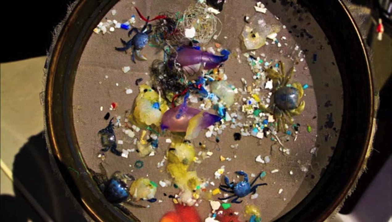 Le bioplastique, c’est fantastique