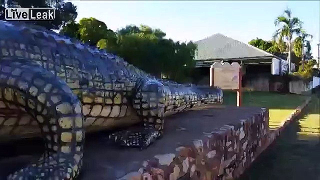 Gary the goat meets the biggest ever crocodile.