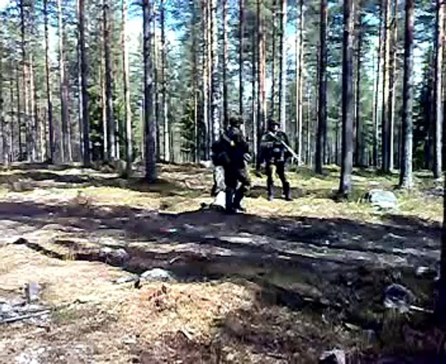 1.PionK kaipr sinko tst-pari