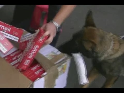 Ancona - Carico di sigarette scoperto dal cane Gaby (07.09.15)