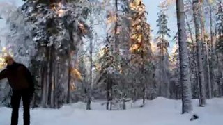 Husky tour in Lapland