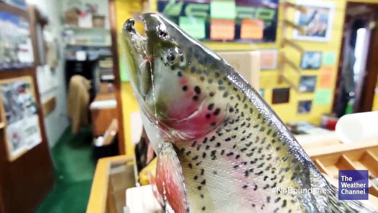 The Weather Channel: Fly Fishing