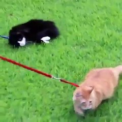 Sabah işe giderken kendini böyle hisseden kaç kişi var