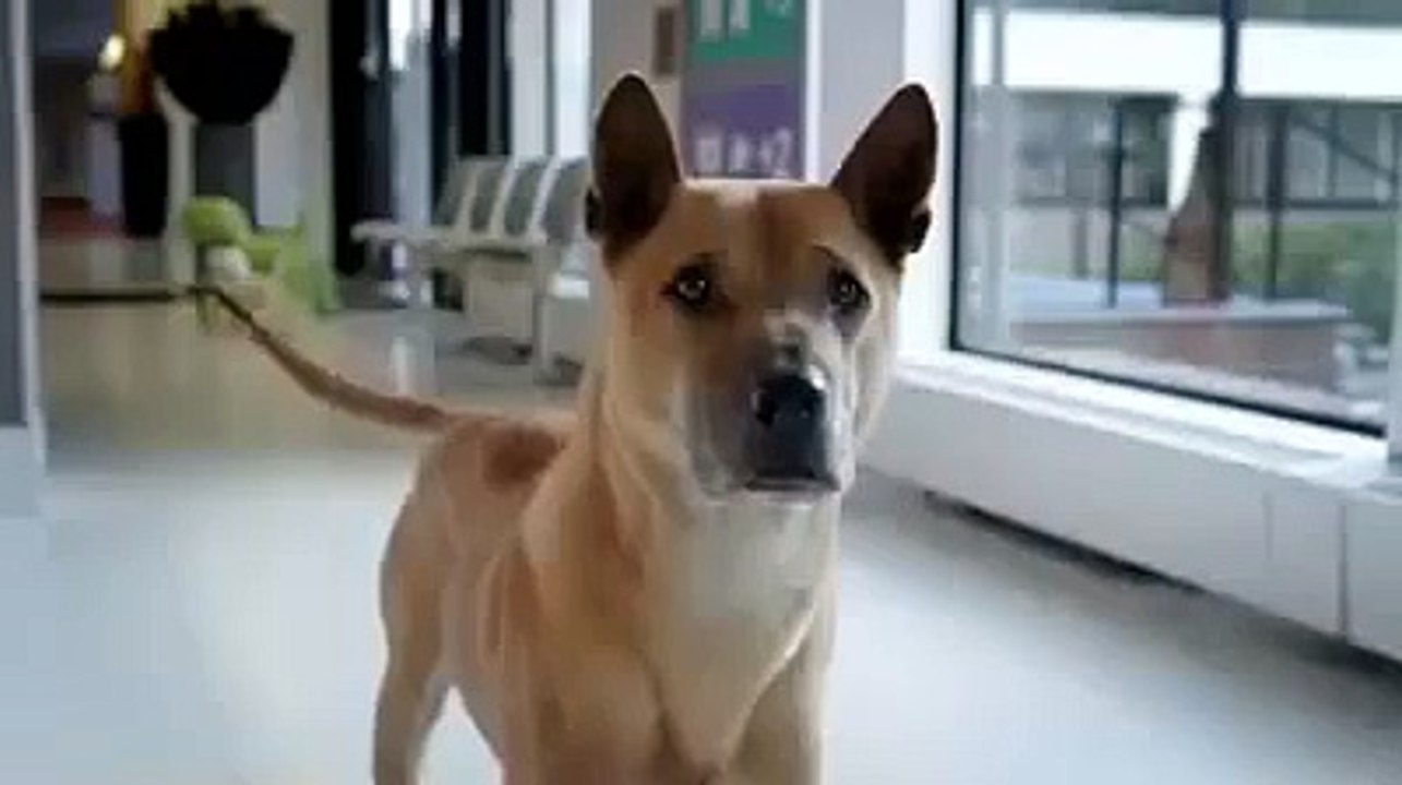 Sadece Anne Değil Baba Olmak Da Zor İş