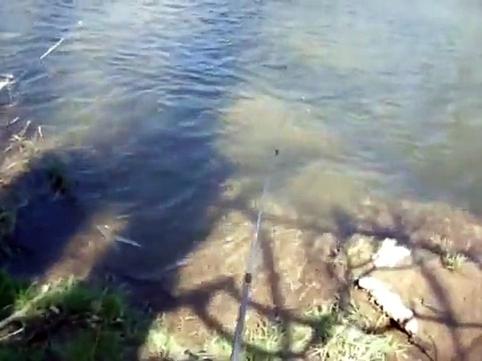 ah, ah this fighting fish is one big rainbow trout Philippines fishing Pinoy angler