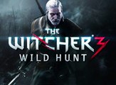 The Witcher 3: Wild Hunt, Diario de desarrollo 