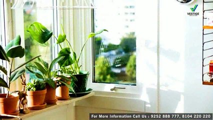 Sharp Air Purifier