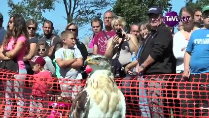 Festival de la terre et de la ruralité [TéVi] 15_09_07