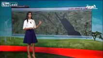 Al Arabiya TV Weather Reporter Falls