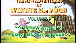 Opening to Winnie the Pooh: Everything's Coming Up Roses 1992 VHS