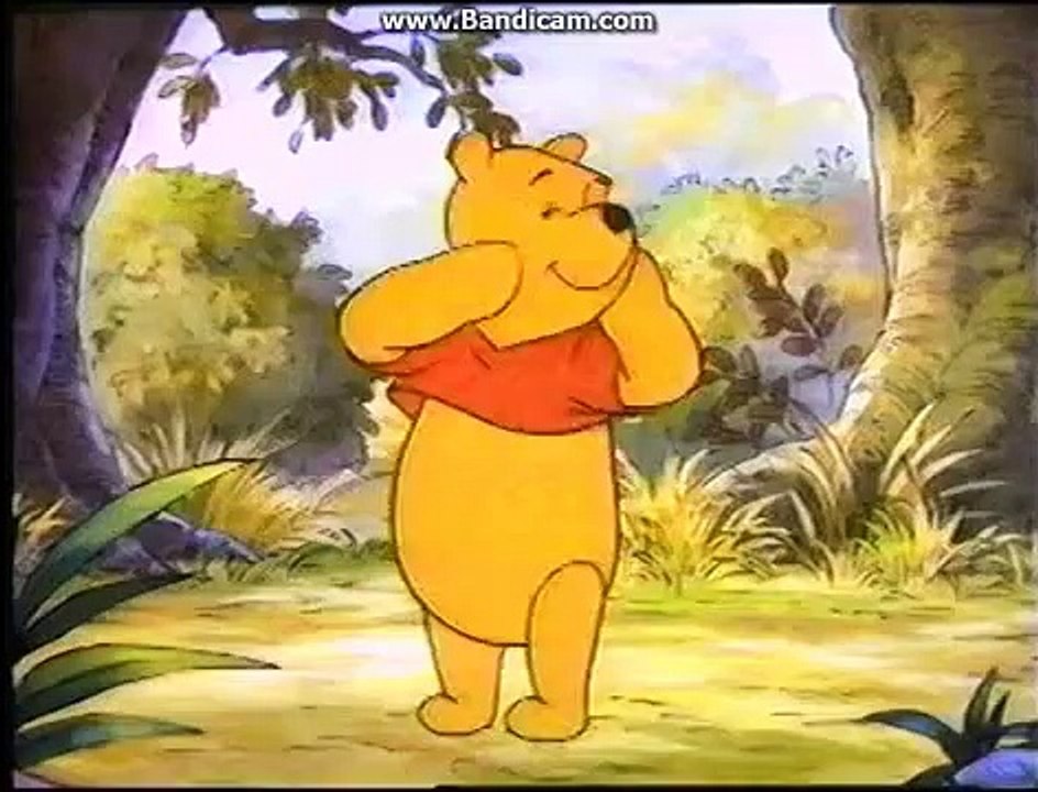Opening To The New Adventures Of Winnie The Pooh:The Sky's The Limit 1992 VHS
