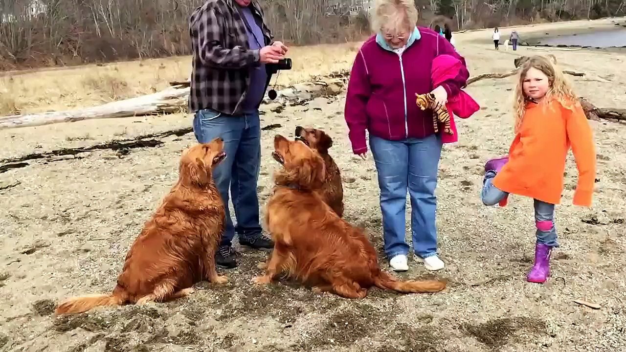 Dug, Ziva, Maddie, and Luke at Sandy Point Beach