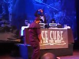 Ice Cube-Gangsta Nation (Tribute to Nate Dogg)