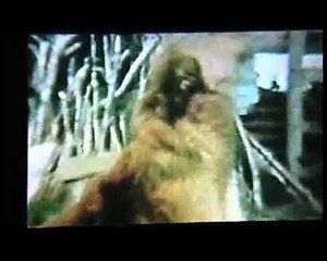 PETS & ANIMALS Do the funniest things PT1