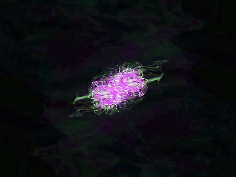 musique de l'intro