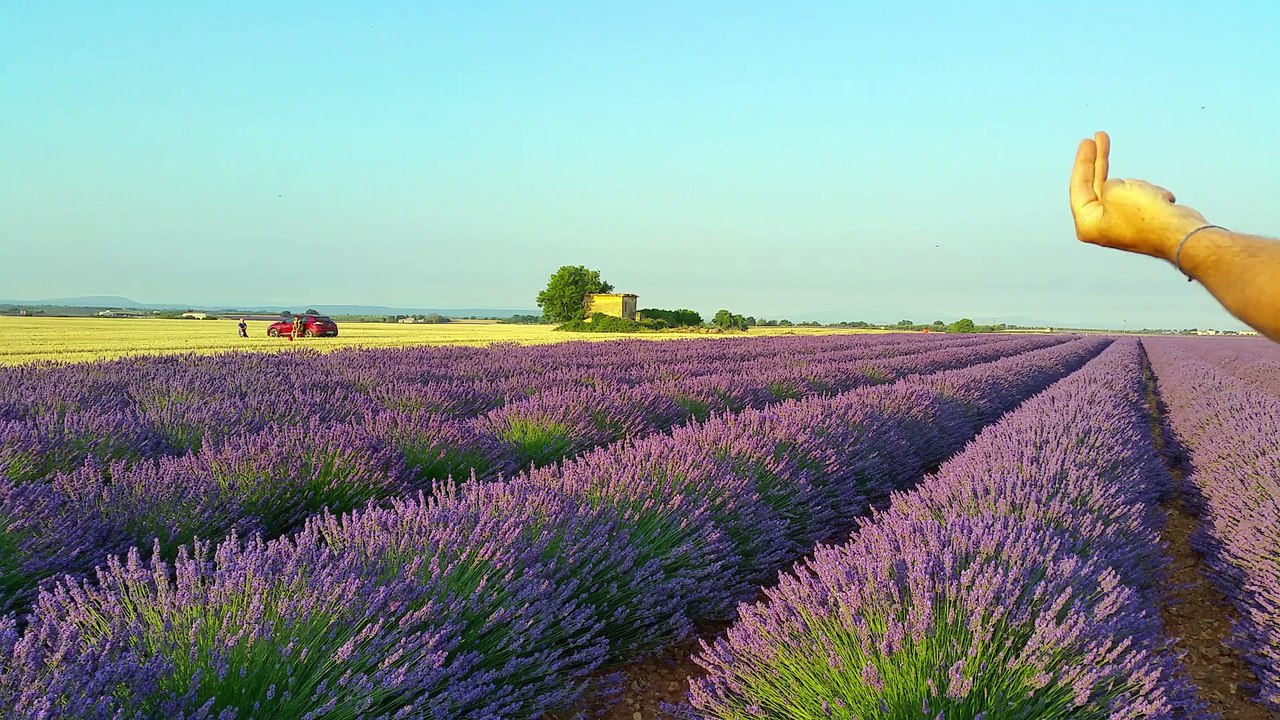 La rencontre de Valensole  (4) Estimation d'approche témoin et engin. Video propriété de Jean Claude Leroy