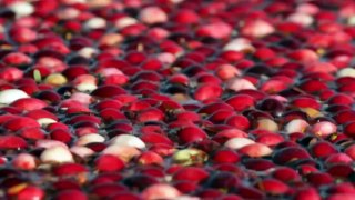 Wakeboarding in a lake of cranberries