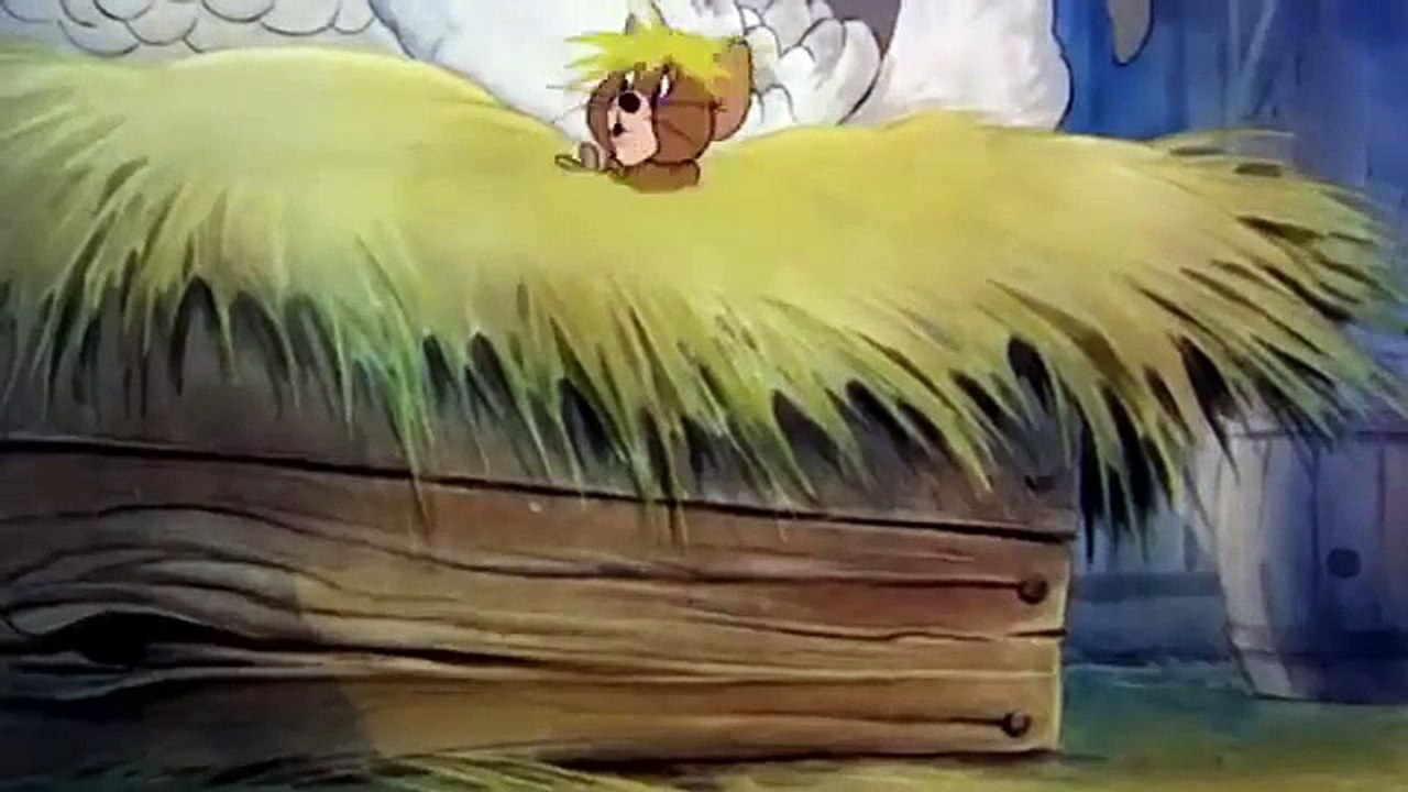 Tom and Jerry Cartoon - Fine Feathered Friend