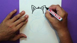 Cómo dibujar un mapache - How to draw a raccoon