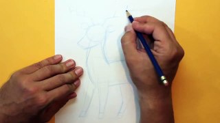Cómo dibujar un ciervo - How to draw a deer (dibujos infantiles - Super fácil)