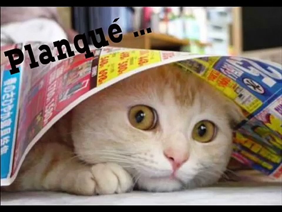 JUZZT WALTZ .   Chat ... Chat ... Chats!