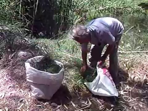Healing Medicin from Wild Herbs & Flowers from Cyprus Island