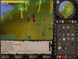 Runescape - 50k Subscribers Party