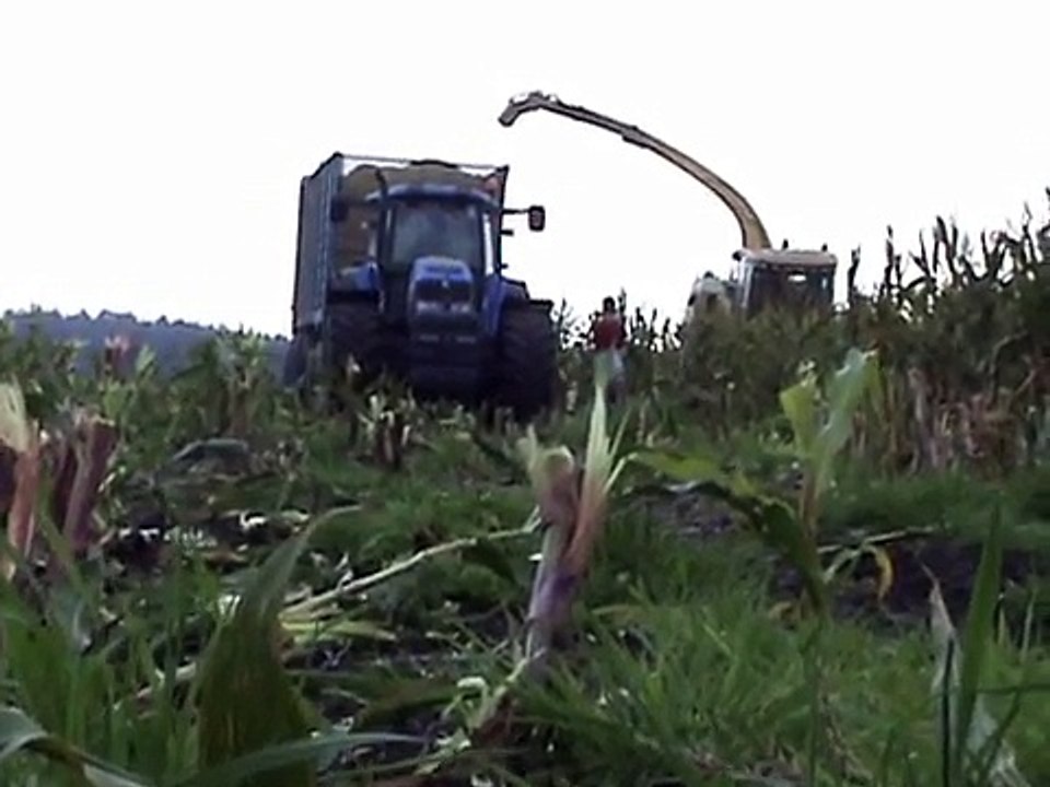 Maisernte 2009: Krone Big X im Moorloch