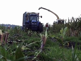 Maisernte 2009: Krone Big X im Moorloch