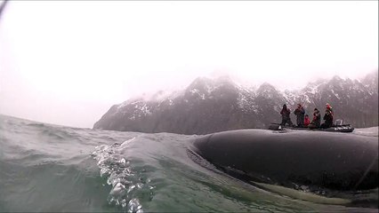 rencontre avec les orques au Kamchatka