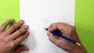 Cómo dibujar una Mariposa - How to draw a butterfly