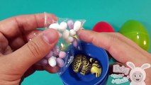 Surprise Eggs Learn Sizes from Smallest to Biggest! Opening Eggs with Toys! Lesson 11