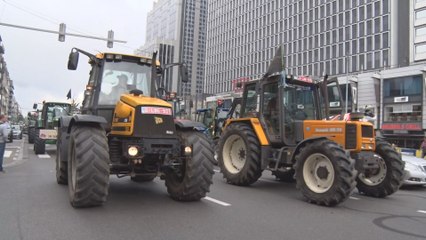 Manifestation des agriculteurs : "le travail des fermiers doit être respecté"