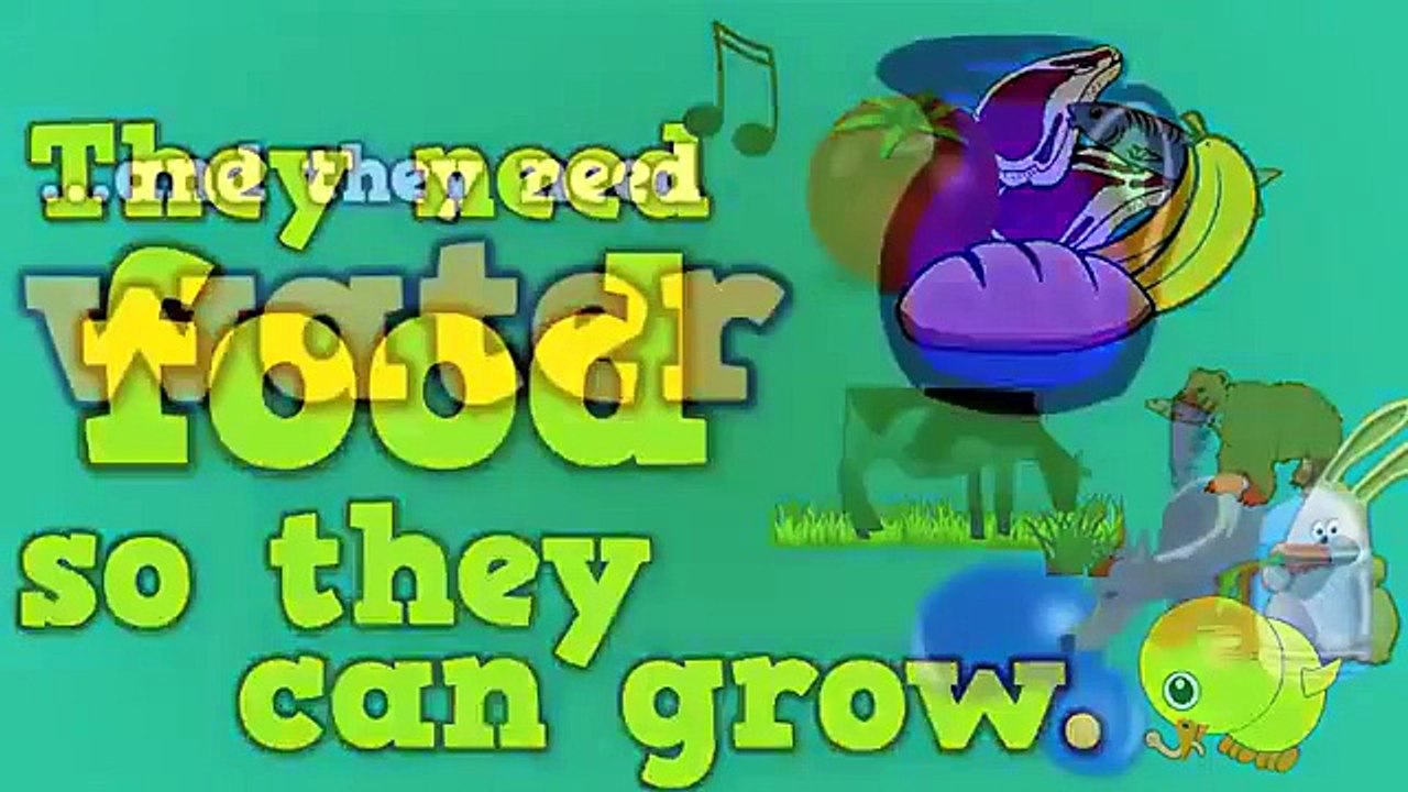 The Needs of an Animal   song for kids about 4 things animals need to survive