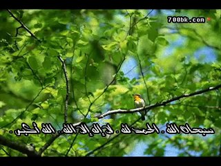 تلآوة جميلة وخاشعه عن حال أهل الجنه  ~ محمد اللحيدان