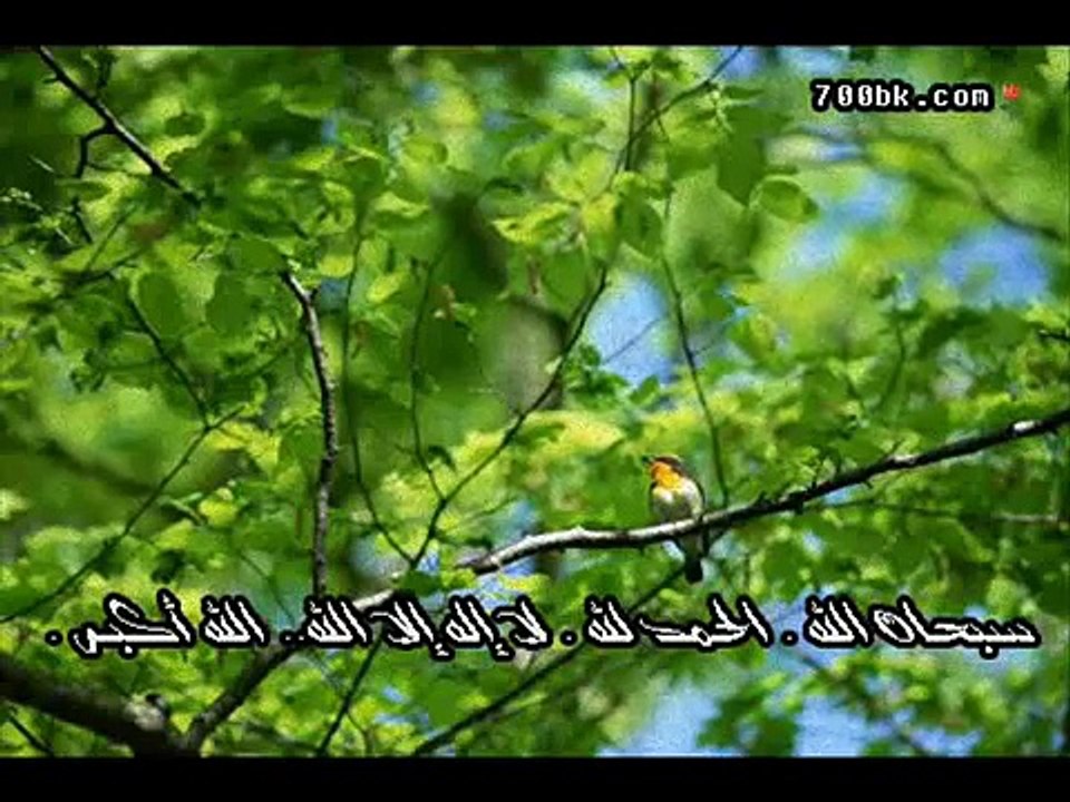 تلآوة جميلة وخاشعه عن حال أهل الجنه  ~ محمد اللحيدان