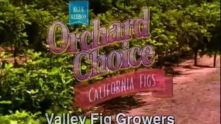 Valley Fig Growers-A Tradition of Quality