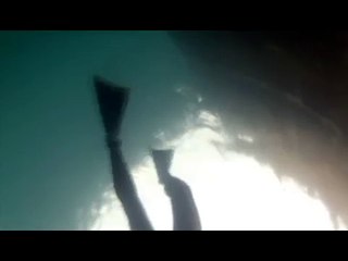 Shark Attacks Girl! (Horrific Shark Attack)