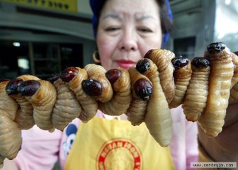 Tabu: Sıradışı Yiyecekler