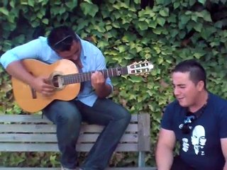 ¡Imperdible Flamenco! Temazo en Parque Tomares (28/07/2009) 🎶