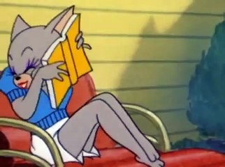 Tom and Jerry Episode 066 Smitten Kitten 1952
