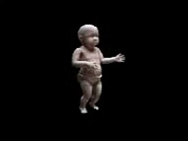 funny cartun /cartoon video dholida