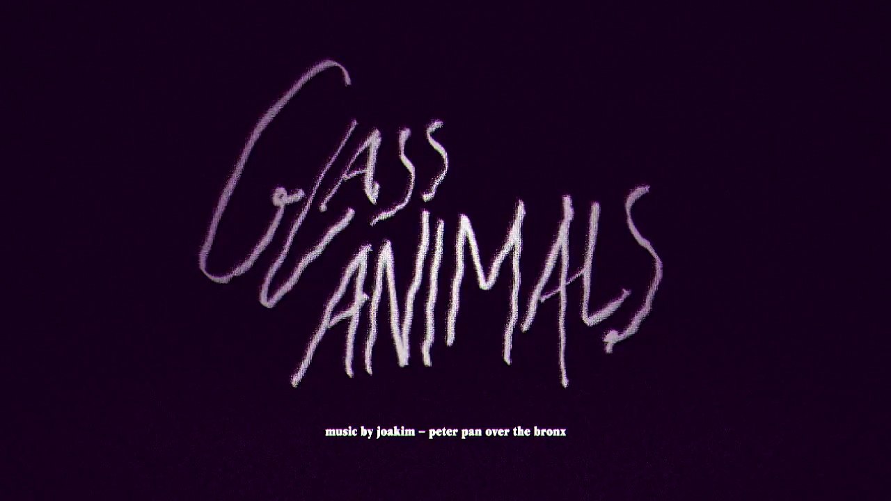 GLASS ANIMALS