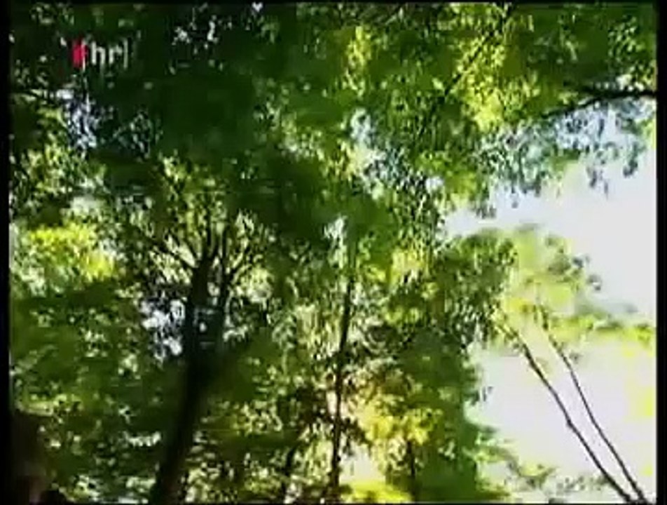 HÖLLENLEBEN   1 7 Eine Multiple Persönlichkeit auf Spurensuche