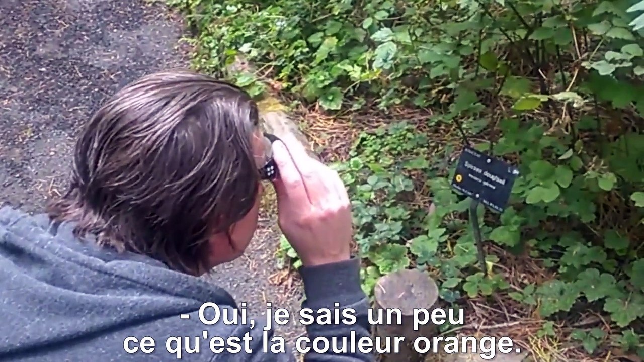 Daltonien, il voit les couleurs pour la première fois