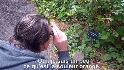 Daltonien, il voit les couleurs pour la première fois