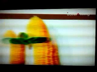 Discovery Travel & Living